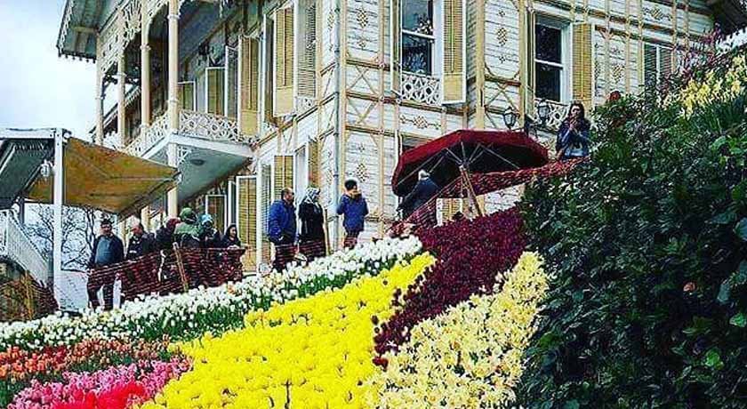 Tulip Festivals of Istanbul