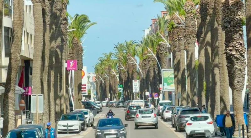 Beyond the Old Medina Completing Your Casablanca Experience