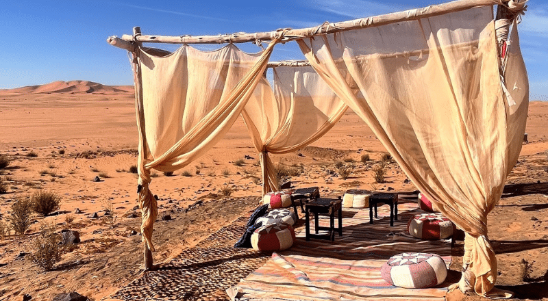 Choosing Your Safari Style