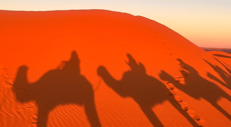Safari to the Sahara Desert Morocco