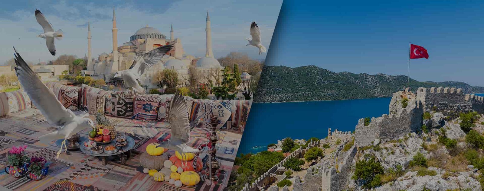 Tours Packages Guide