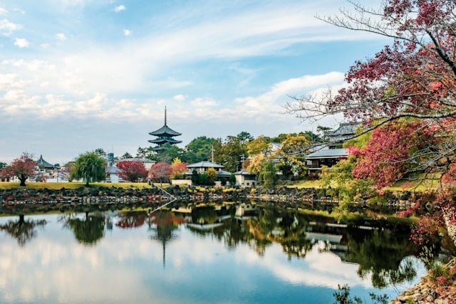 Best Time to Travel to Japan Weather, Seasons & Festivals Guide1